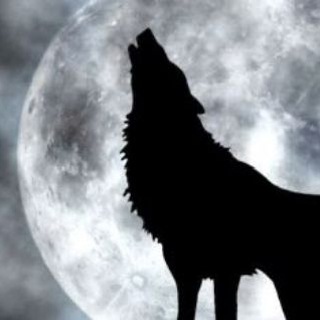 Telegram profile photo for never