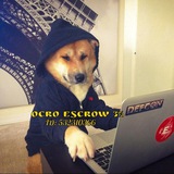 Telegram profile photo for OcroNetwork