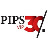 Telegram profile photo for PIPS 30/VIP