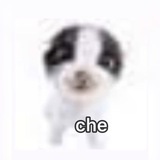 Telegram profile photo for che