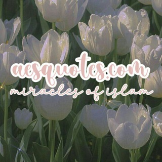 Telegram profile photo for aesquotes.com 🕊