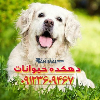Telegram profile photo for دهكده حيوانات