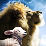 Telegram profile photo for Dystopie & Catharsis