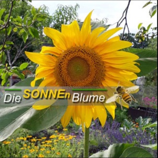 Telegram profile photo for Die SONNEn Blume 🐝