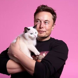 Telegram group profile photo for Musk Cat🐈