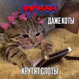 Telegram profile photo for демо бонус онлайн слоты