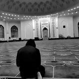 Telegram profile photo for طـريـقُ الـهُـدى