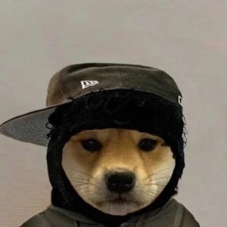 Telegram profile photo for Fizz's Cabal