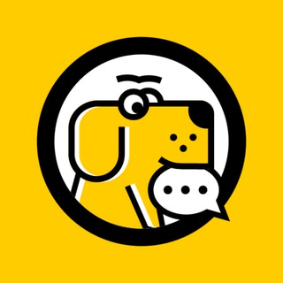 Telegram profile photo for Чат Телеметра - Telemetr Chat