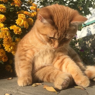 Telegram profile photo for етижи пасатижи кирабек