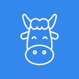 Telegram profile photo for Moola Market