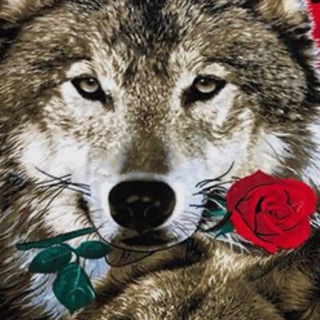 Telegram profile photo for π₯π¬π―π―π¦ππ©π’ π―π¬π¬πͺ