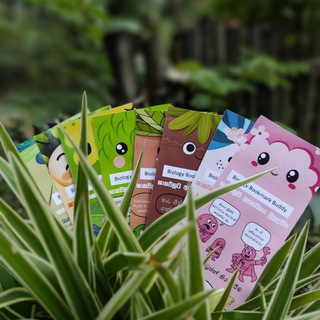 Telegram profile photo for Let's enjoy flashcards