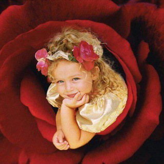 Telegram profile photo for نبض المــ❤️شاعــر