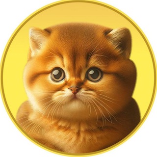Telegram profile photo for Passionate kitten PTM official Group