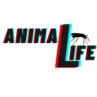 Telegram profile photo for Animal Life