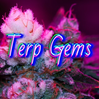 Telegram profile photo for Terp Gems