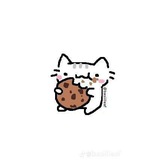 Telegram profile photo for β π : πππ¬π€ ππ² π§ππ₯