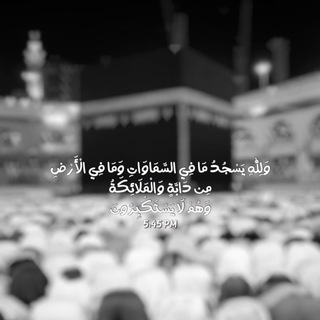 Telegram profile photo for أجر .