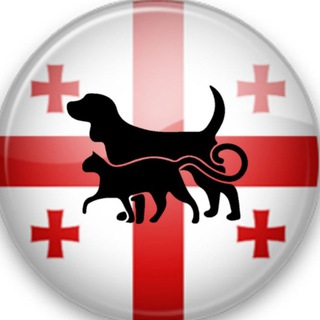 Telegram profile photo for В Грузии с животными 🐾