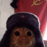 Telegram profile photo for Уютный Замполитовский блиндаж