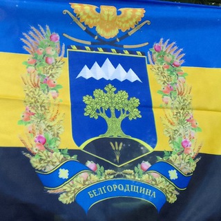 Telegram profile photo for Бєлґородщина/Сіверщина/Белгородская Народная республика (БНР)/Ost Slobozhanschina