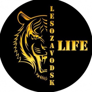 Telegram profile photo for 🟡 LESOZAVODSK LIFE