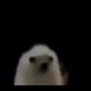 Telegram profile photo for Ахмад Мухсин
