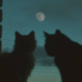Telegram profile photo for حُبّ