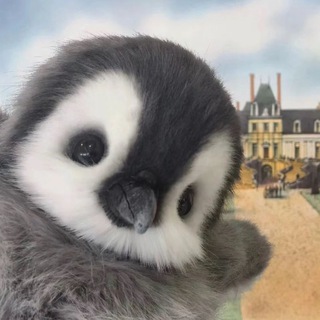 Telegram profile photo for PENGUINHOUSE🐧
