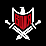Telegram profile photo for Батальйон "Воля"
