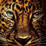 Telegram profile photo for زاپاسمون باشه