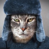 Telegram profile photo for Северный кулибин