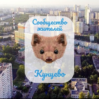 Telegram profile photo for Кунцево - разговорчики
