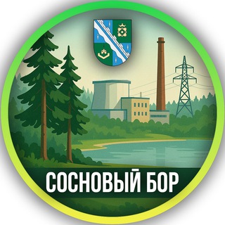 Telegram profile photo for Мы из Соснового Бора