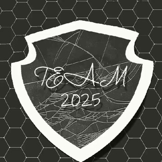 Telegram group profile photo for ™️ Team 2025 🌏