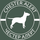 Telegram profile photo for Chester Alert