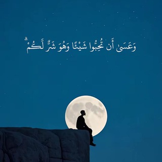 Telegram profile photo for حسوني.