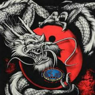 Telegram profile photo for MartialArtsIR