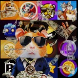 Telegram profile photo for ایردراپ ها | همستر | تپسواپ | بلوم | میم فای