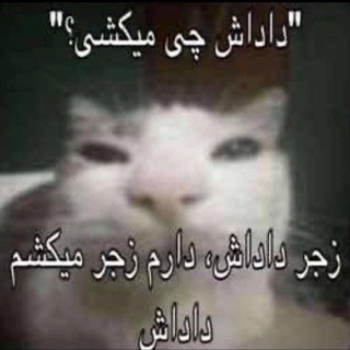 Telegram profile photo for LQ memes