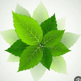 Telegram profile photo for برگ سبز بازار سرمایه