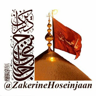 Telegram profile photo for ذاکرین حسین جان
