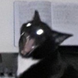 Telegram profile photo for опять эти ну как их там блять