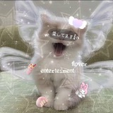 Telegram profile photo for ∘🌷FLOWER ENTERTAINMENT🌷 ∘