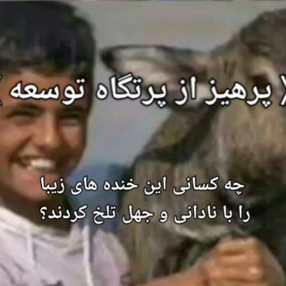 Telegram profile photo for پرهیز از پرتگاه توسعه!
