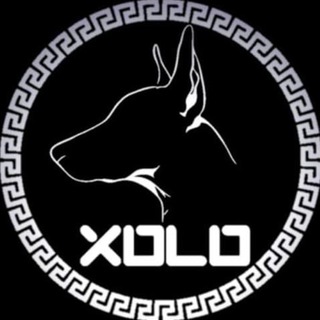 Telegram group profile photo for Xolo Token Official Group
