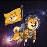 Telegram profile photo for Hash Insights VIP🏆🏆🏆