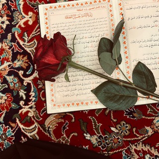 Telegram profile photo for “ مَـلاذِيْ كَـربَـلاءْ🕊️”