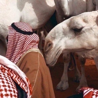 Telegram profile photo for دَار .